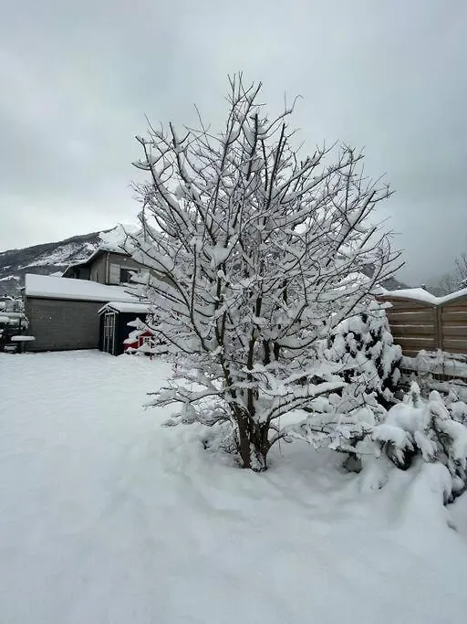 Bel Appartement Dans Residence Cheminee /Jardin Luz-Saint-Sauveur Apartment